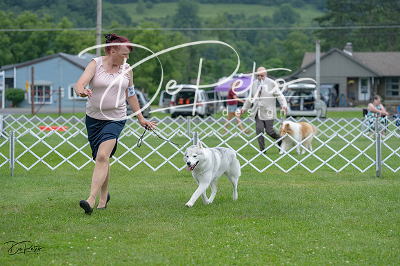20230702-DSC01698