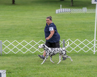 20230702-DSC04677