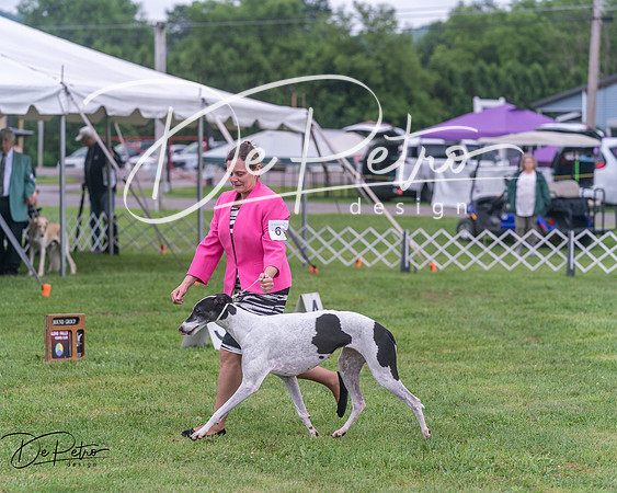 20250626-DSC04350