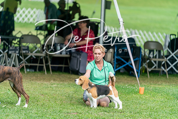 20240630-DSC05699