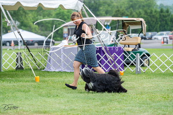 20230701-DSC09898