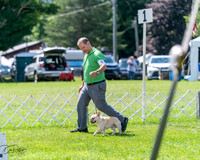 20240630-DSC02486