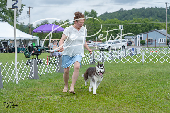 20230702-DSC01778