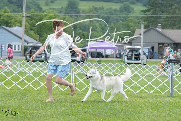20230702-DSC01375