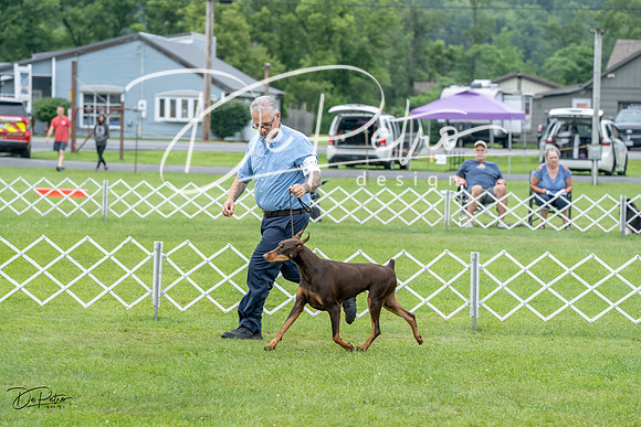 20230702-DSC00821