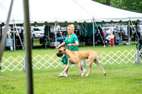 20230702-DSC01830