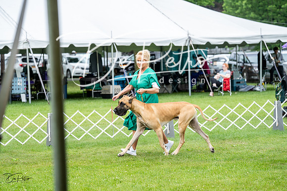 20230702-DSC01830
