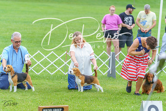 20230702-DSC04657