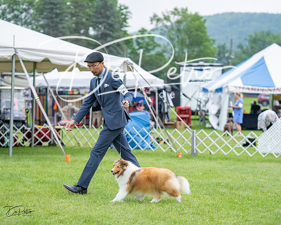 20230701-DSC07563