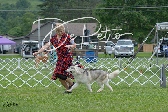 20230702-DSC01394