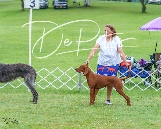 20230702-DSC04636
