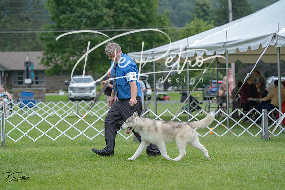 20230702-DSC01585