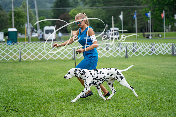 20230701-DSC08291