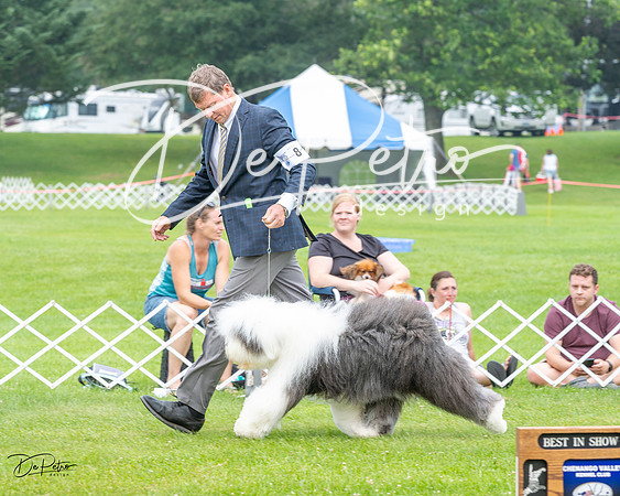 20230701-DSC00550