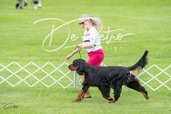 20230702-DSC03531