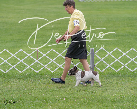 20230702-DSC04720