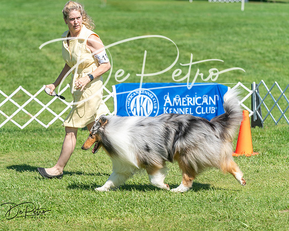 20250629-DSC00884
