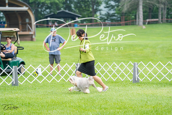 20230701-DSC09991