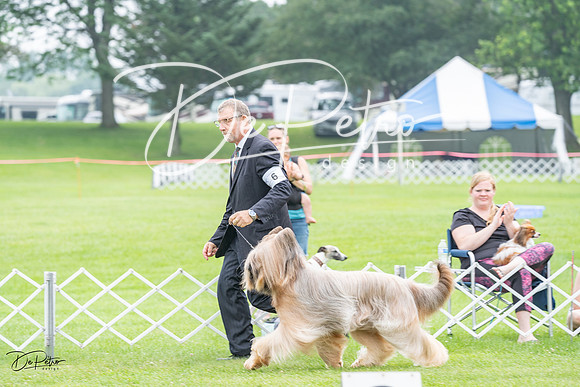 20230701-DSC09755