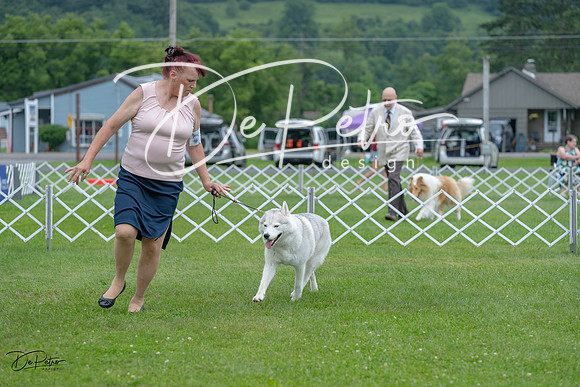 20230702-DSC01700