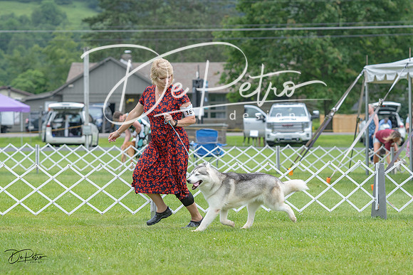 20230702-DSC01360
