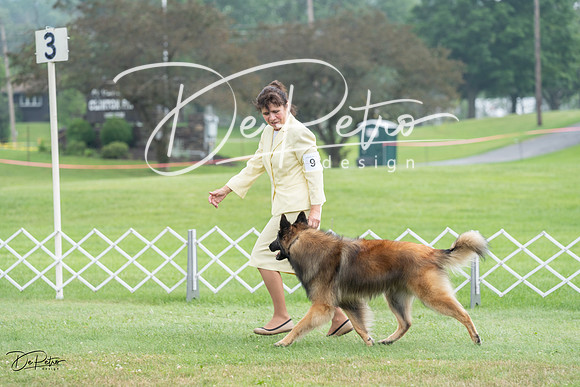20230701-DSC09542