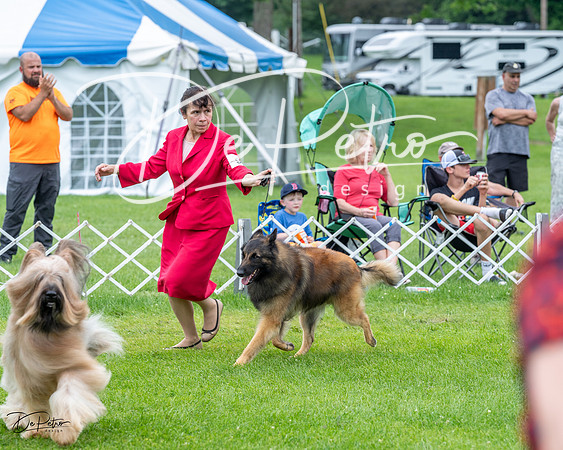 20230702-DSC04192