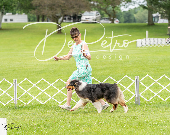 20230702-DSC04014
