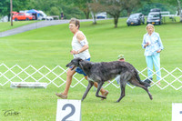20230702-DSC04288