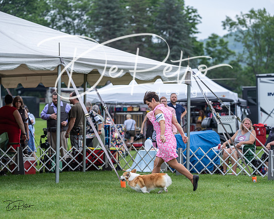 20230701-DSC01179