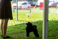 20240816-DSC00170