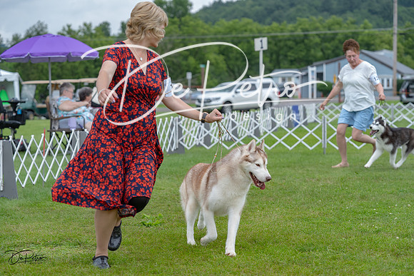 20230702-DSC01768