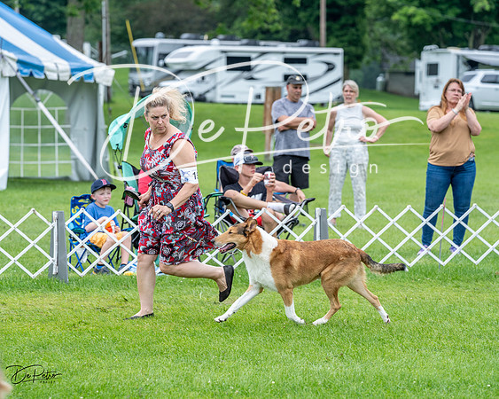 20230702-DSC04195
