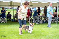 20230701-DSC01585