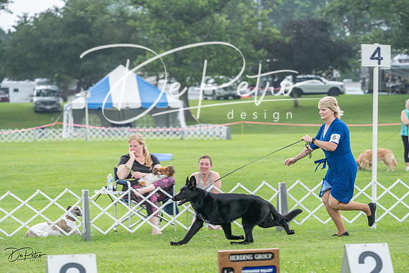 20230701-DSC09450