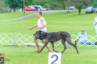 20230702-DSC04290