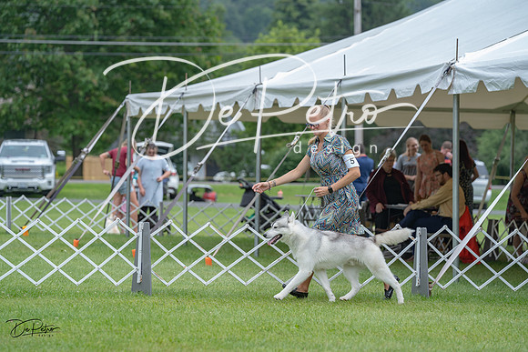 20230702-DSC01422