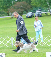 20230702-DSC04319