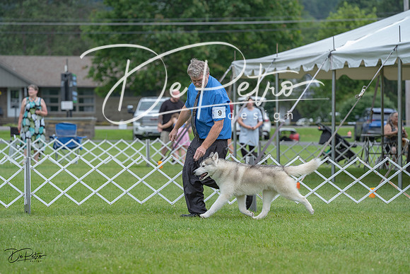 20230702-DSC01601