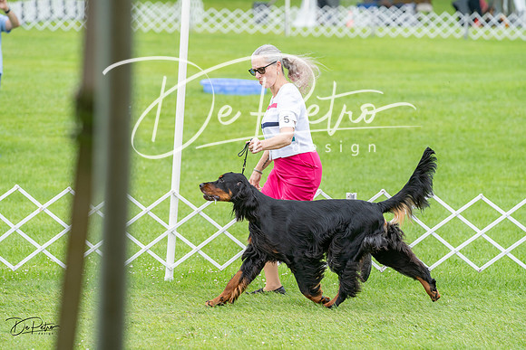 20230702-DSC03527