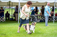 20230701-DSC01587