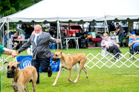 20230702-DSC01845