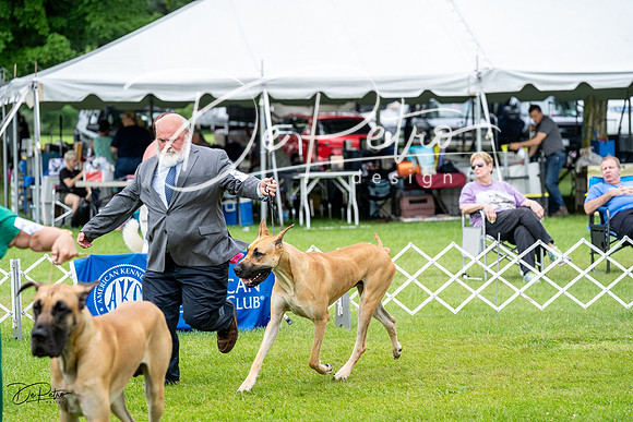 20230702-DSC01845