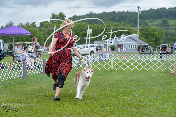 20230702-DSC01822