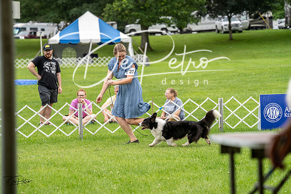 20230702-DSC04101