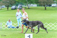 Hound 7/2/23