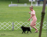 20230702-DSC04700