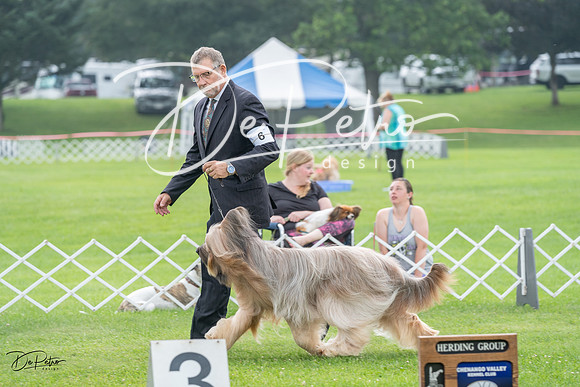 20230701-DSC09374