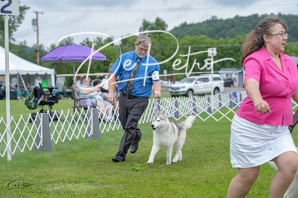 20230702-DSC01799