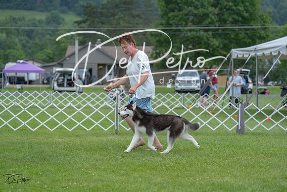 20230702-DSC01727